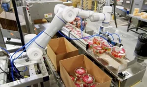 Bin Picking Robot